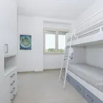 Edelweiss 3 *